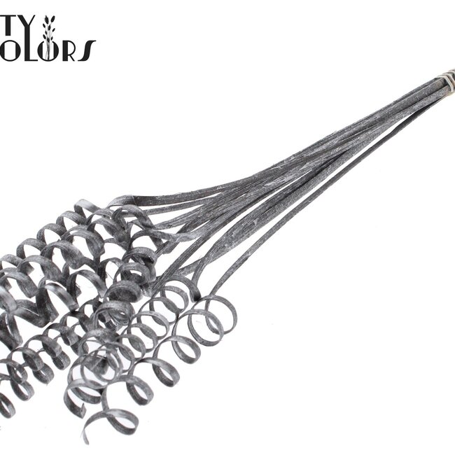 Palm Spiral on Stem | Colour: Grey Metallic Graphite | Cane Spring Stake | Stake Length ± 50 centimetres | Per 10 stakes