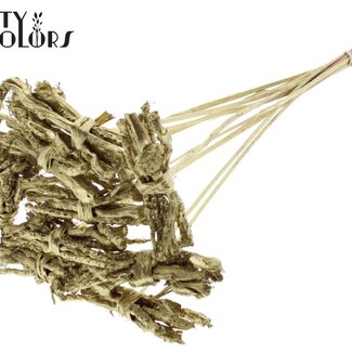 QC Bouquet décoratif Coco Rose sur tige | Couleur : Doré | Coco Rose Posy Piquet | Longueur ± 50 centimètres | Par 10 piquets