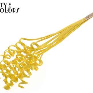 QC Palmspirale auf Stiel | Farbe: Gelb | Cane Spring Dekostecker | Länge Dekostecker ± 50 Zentimeter | Pro 10 Dekostecker