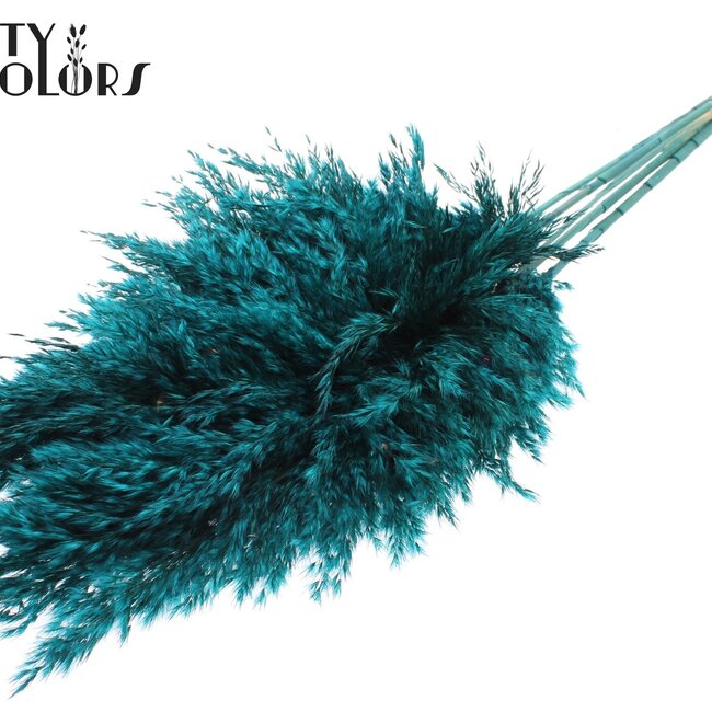 Getrocknete Pampasgraswedel | Farbe: Türkis | Pampas Trockenblumen | Länge ± 100 Zentimeter | 5 Wedel pro Bund | Pro Bund
