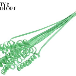 QC Palmspirale auf Stiel | Farbe: Mintgrün | Cane Spring Steckstab | Länge Steckstab ± 50 Zentimeter | Pro 10 Steckstäbe