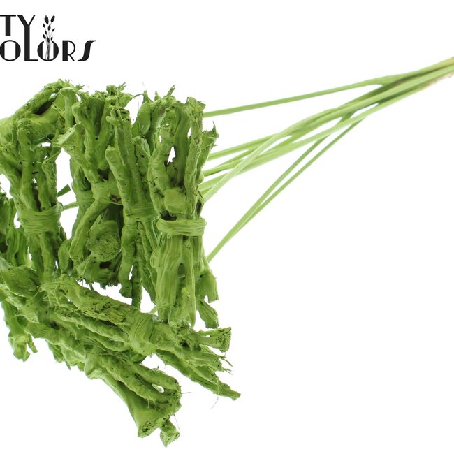 Bouquet décoratif Coco Rose sur tige | Couleur : Vert clair | Coco Rose Posy Piquet | Longueur ± 50 centimètres | Par 10 piquets