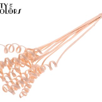 QC Palmspirale auf Stiel | Farbe: Aprikosenfarben | Cane Spring Steckstab | Länge des Steckstabs ± 50 Zentimeter | Pro 10 Steckstäbe