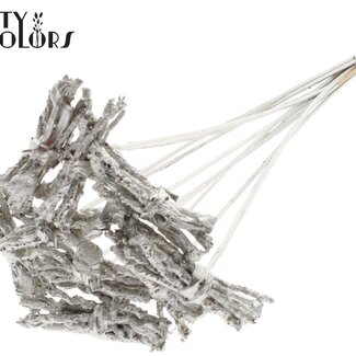 QC Decoratieve Coco Rose Boeketje op stok | Kleur: Platinakleurig | Coco Rose Posy Bijsteker | Lengte ± 50 centimeter | Per 10 bijstekers