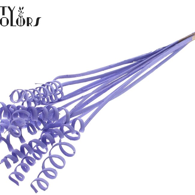 Palm Spiral on stem | Colour: Milka Purple | Cane Spring Stick | Stick length ± 50 centimetres | Per 10 sticks