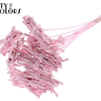 QC Decorative Coco Rose Posy on stick | Colour: Light Pink | Coco Rose Posy Stick | Length ± 50 centimetres | Per 10 sticks