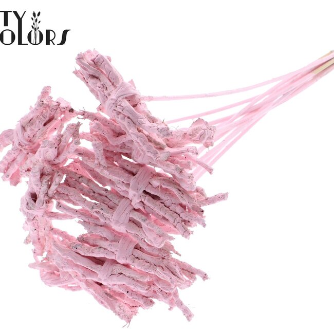 Decoratieve Coco Rose Boeketje op stok | Kleur: Lichtroze | Coco Rose Posy Bijsteker | Lengte ± 50 centimeter | Per 10 bijstekers