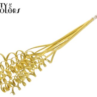 QC Palmspirale auf Stiel | Farbe: Gelb Metallic | Cane Spring Steckstab | Länge Steckstab ± 50 Zentimeter | Pro 10 Steckstäbe