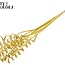 Palmspirale auf Stiel | Farbe: Gelb Metallic | Cane Spring Einstecker | Länge Einstecker ± 50 Zentimeter | Pro 10 Einstecker