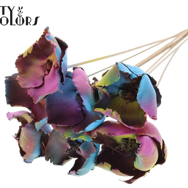 Dried Palm Cup on stem “Ibiza” | Colour: Mixed Colours | Length ± 50 centimetres | Per 10 stems