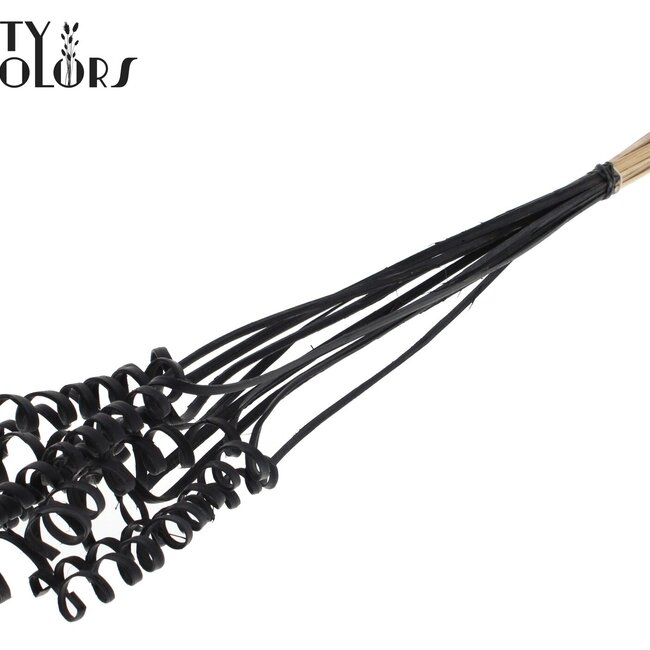 Palmspirale auf Stiel | Farbe: Schwarz | Cane Spring Einstecker | Länge Einstecker ± 50 Zentimeter | Pro 10 Einstecker