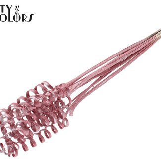 QC Palmspirale auf Stiel | Farbe: Rot Metallic | Cane Spring Steckstab | Länge des Steckstabs ± 50 Zentimeter | Pro 10 Steckstäbe