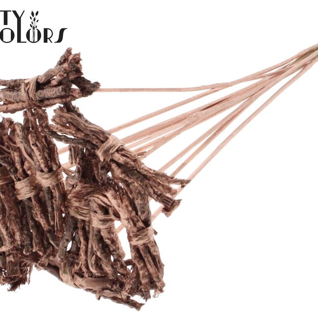 Decoratieve Coco Rose Boeketje op stok | Kleur: Koperkleurig | Coco Rose Posy Bijsteker | Lengte ± 50 centimeter | Per 10 bijstekers
