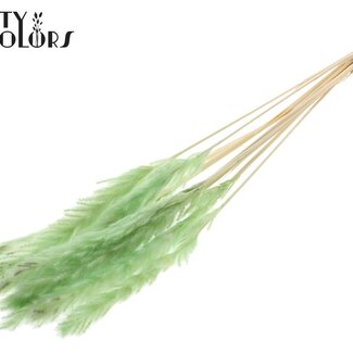 QC Gedroogde Fluffy Pampas | Kleur: Intens Mintgroen | Pampas Droogbloemen | Lengte ± 70 centimeter | 10 pluimen per bos | Per bos