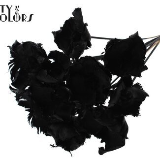 QC Dried Palm Cup on stem | Colour: Black | Length ± 50 centimetres | Per 10 stems