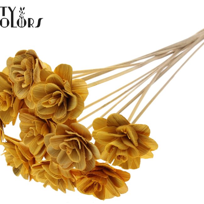 Shola Houten Roos op stok | Kleur: Abrikooskleurig | Shola Beetal Rose Bijsteker | Diameter roos 8 centimeter | Lengte bijsteker ± 50 centimeter | Per 10 bijstekers