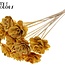 Shola Houten Rose sur tige | Couleur : Abricot | Shola Beetal Rose Pique-fleur | Diamètre de la rose 8 centimètres | Longueur du pique-fleur ± 50 centimètres | Par 10 piques-fleurs
