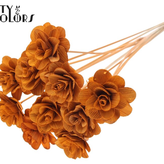 Shola Wooden Rose on Stick | Colour: Terracotta | Shola Beetal Rose Stick | Rose Diameter 8 centimetres | Stick Length ± 50 centimetres | Per 10 sticks