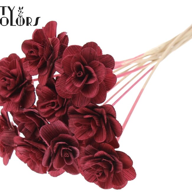 Shola Houten Rose sur tige | Couleur : Bordeaux | Shola Beetal Rose Pique-fleur | Diamètre de la rose 8 centimètres | Longueur du pique-fleur ± 50 centimètres | Par 10 piques-fleurs