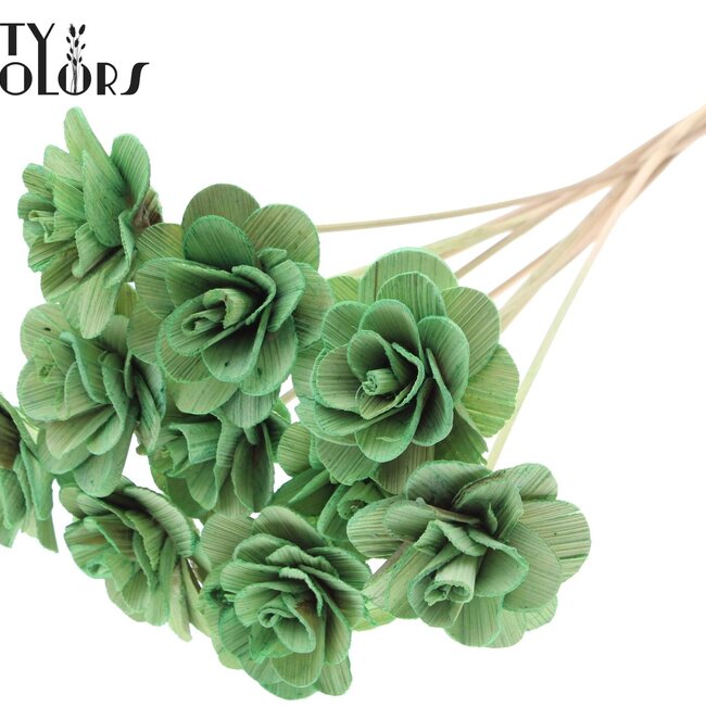 Shola Houten Roos op stok | Kleur: Mintgroen | Shola Beetal Rose Bijsteker | Diameter roos 8 centimeter | Lengte bijsteker ± 50 centimeter | Per 10 bijstekers