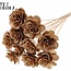 Shola Houten Rose sur tige | Couleur : Or antique | Shola Beetal Rose Pique-fleurs | Diamètre de la rose 8 centimètres | Longueur du pique-fleurs ± 50 centimètres | Par 10 piques-fleurs