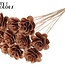 Shola Wooden Rose on Stick | Colour: Copper | Shola Beetal Rose Stick | Rose Diameter 8 centimetres | Stick Length ± 50 centimetres | Per 10 sticks