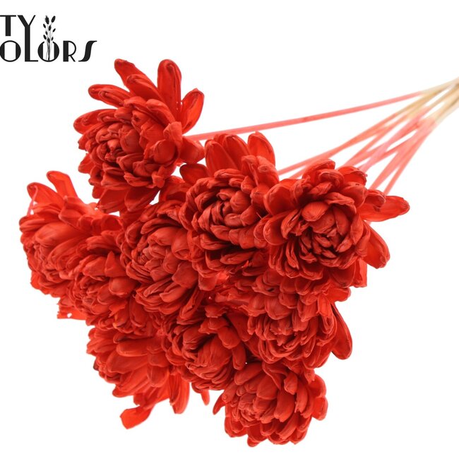 Shola Houten Roos op stok | Kleur: Koraalrood | Shola New Beauty Rose Bijsteker | Diameter roos 8 centimeter | Lengte bijsteker ± 50 centimeter | Per 10 bijstekers