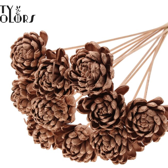 Shola Wooden Rose on Stem | Colour: Copper | Shola New Beauty Rose Stake | Rose Diameter 8 centimetres | Stake Length ± 50 centimetres | Per 10 stakes