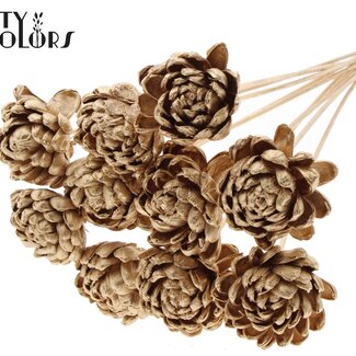 QC Shola Wooden Rose on Stick | Colour: Antique Gold | Shola New Beauty Rose Stick | Rose Diameter 8 centimetres | Stick Length ± 50 centimetres | Per 10 sticks