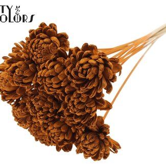 QC Shola Houten Roos op stok | Kleur: Terracotta | Shola New Beauty Rose Bijsteker | Diameter roos 8 centimeter | Lengte bijsteker ± 50 centimeter | Per 10 bijstekers