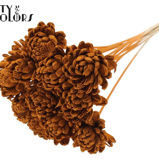 Shola Houten Rose sur tige | Couleur : Terracotta | Shola New Beauty Rose Pique-fleur | Diamètre de la rose 8 centimètres | Longueur du pique-fleur ± 50 centimètres | Par 10 piques-fleurs