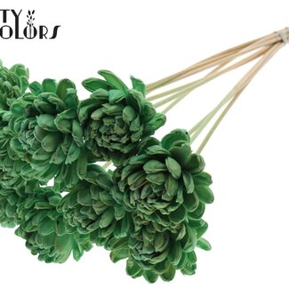 QC Shola Houten Roos sur tige | Couleur : Vert menthe | Shola New Beauty Rose Piquet | Diamètre de la rose 8 centimètres | Longueur du piquet ± 50 centimètres | Par 10 piquets