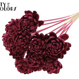 QC Shola Houten Rose sur tige | Couleur : Bordeaux | Shola New Beauty Rose Pique-fleur | Diamètre de la rose 8 centimètres | Longueur du pique-fleur ± 50 centimètres | Par 10 piques-fleurs