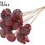 Shola Wooden Rose on Stick | Colour: Pink Gradient | Shola Beauty Rose Stick | Rose Diameter 6 centimetres | Stick Length ± 50 centimetres | Per 10 sticks