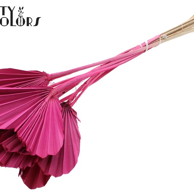 Dried Palm Spear Heart-Shaped | Colour: Cherry-Coloured | Length ± 45 centimetres | Per 10 stems