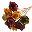 Dried Palm Cup on stem | Colour: Mixed Colours “Pumpkin Spice” | Length ± 50 centimetres | Per 10 stems