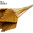 Dried Palm Spear | Colour: Apricot | Spear-shaped Palm Leaves | Length ± 50 centimetres | Per 10 stems