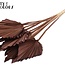 Dried Palm Spear | Colour: Brown | Spear-shaped palm leaves | Length ± 50 centimetres | Per 10 stems
