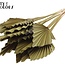 Dried Palm Spear | Colour: Olive Green | Spear-shaped Palm Leaves | Length ± 50 centimetres | Per 10 stems