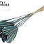 Dried Palm Spear Heart-Shaped | Colour: Light Blue | Length ± 45 centimetres | Per 10 stems