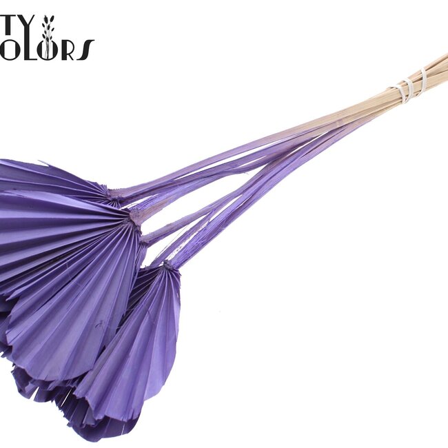 Dried Palm Spear Heart-Shaped | Colour: Milka Purple | Length ± 45 centimetres | Per 10 stems