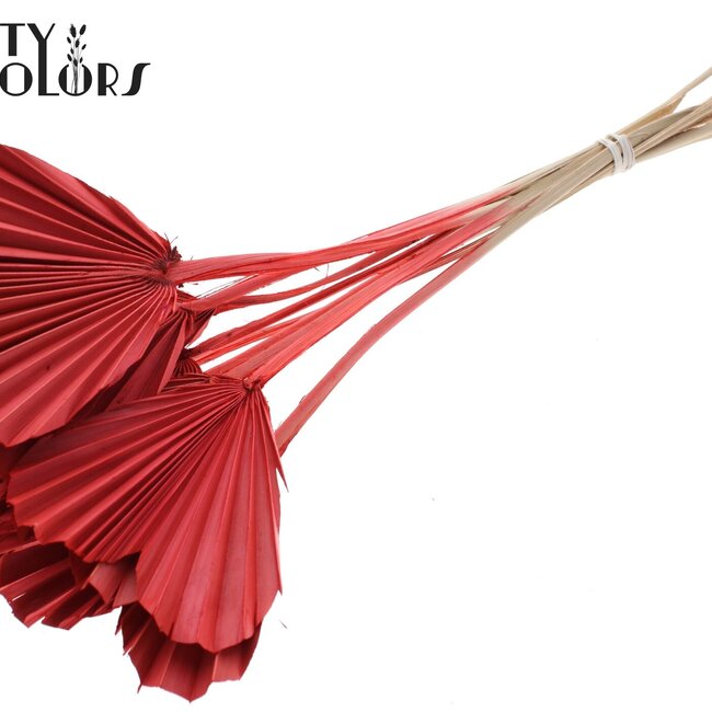 Gedroogde Palm Spear Hartvormig | Kleur: Koraalkleurig | Lengte ± 45 centimeter | Per 10 takken