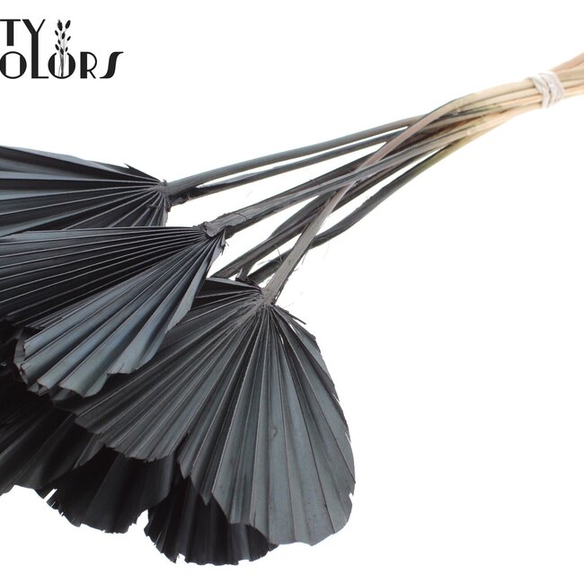 Gedroogde Palm Spear Hartvormig | Kleur: Zwart | Lengte ± 45 centimeter | Per 10 takken