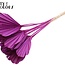 Getrockneter Palmenspeer Herzform | Farbe: Fliederfarben | Länge ± 45 Zentimeter | Pro 10 Zweige