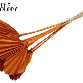 QC Dried Palm Spear Heart-Shaped | Colour: Orange | Length ± 45 centimetres | Per 10 stems