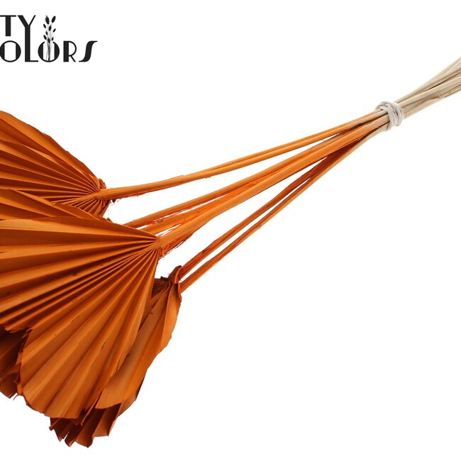 Dried Palm Spear Heart-Shaped | Colour: Orange | Length ± 45 centimetres | Per 10 stems