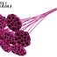 Lotus séchées sur tige | Couleur : Cerise | Diamètre du lotus 5 - 7 centimètres | Longueur du pique ± 50 centimètres | Par 10 piques