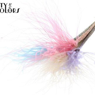 QC Dried Stipa Feather Grass | Colourful 1 | Colour: Mixed Colours | Stypha Penata Dried Flowers | Length ± 60 centimetres | 10 plumes per bunch | Per bunch