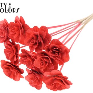 QC Shola Wooden Rose on Stick | Colour: Coral Red | Shola Beetal Rose Stick | Rose Diameter 8 centimetres | Stick Length ± 50 centimetres | Per 10 sticks