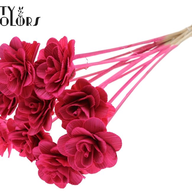 Shola Houten Rose sur tige | Couleur : Cerise | Shola Beetal Rose Pique-fleur | Diamètre de la rose 8 centimètres | Longueur du pique-fleur ± 50 centimètres | Par 10 piques-fleurs
